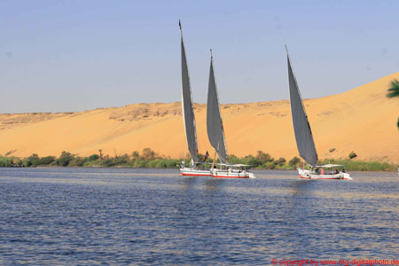 _MG_9056